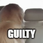 guilty dog | GUILTY | image tagged in gifs,guilty,skibidi toilet sucks | made w/ Imgflip video-to-gif maker