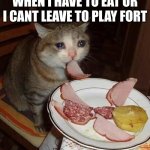 MOM I WANT TO PLAY NOW | WHEN I HAVE TO EAT OR I CANT LEAVE TO PLAY FORT | image tagged in crying cat meme,funny | made w/ Imgflip meme maker