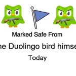 Marked Safe From | The Duolingo bird himself | image tagged in memes,marked safe from | made w/ Imgflip meme maker