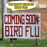 INFECTIOUS DISEASE | WE CAN'T IGNORE
BIRD FLU | image tagged in bird flu bird,chicken,meat,breaking news,disease,chickens | made w/ Imgflip meme maker