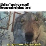 Big no no | Sibling: Touches my stuff*

Me appearing behind them* | image tagged in so you have chosen death | made w/ Imgflip meme maker