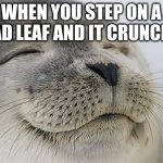 Yay crunch | WHEN YOU STEP ON A DEAD LEAF AND IT CRUNCHES | image tagged in memes,satisfied seal,crunch,leaves | made w/ Imgflip meme maker