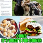 Funny | COWS
IT'S WHAT'S FOR DINNER AND DESSERT 🎂 | image tagged in funny,cows,dinner,dessert,yummy,food | made w/ Imgflip meme maker