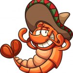 Shrimp wearing a sombrero