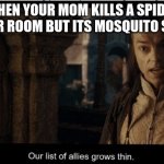 join us to fight against the mosquitoes | WHEN YOUR MOM KILLS A SPIDER IN YOUR ROOM BUT ITS MOSQUITO SEASON | image tagged in our list of allies grows thin,mosquito | made w/ Imgflip meme maker