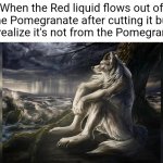 The punchline is for those who know | When the Red liquid flows out of the Pomegranate after cutting it but you realize it's not from the Pomegranate: | image tagged in sigma wolf,dark humor | made w/ Imgflip meme maker