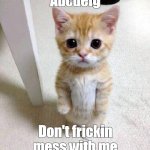 Fun thing i did | Abcdefg; Don't frickin mess with me | image tagged in memes,cute cat | made w/ Imgflip meme maker