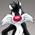 sylvester