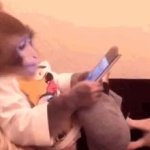 monkey GIF Template