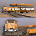 Cats | MY CAT COMING TO GET SCRATCHES; MY OTHER CAT | image tagged in a train hitting a school bus | made w/ Imgflip meme maker