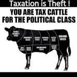 Tax Cattle