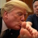 Sub Trump