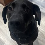 Funny Bruce