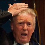 Trump hairline