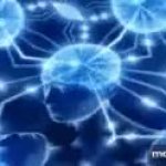 Brain GIF Template