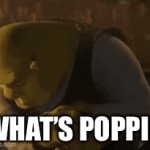 What’s poppin | WHAT’S POPPIN | image tagged in gifs,shrek,fun,memes,funny memes | made w/ Imgflip video-to-gif maker