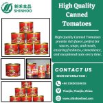 High Quality Canned Tomatoes