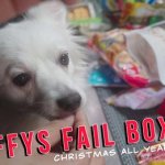 fluffy fail box