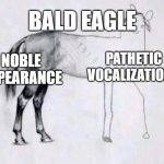 Bald Eagle sound design | BALD EAGLE; PATHETIC VOCALIZATIONS; NOBLE APPEARANCE | image tagged in horse drawing | made w/ Imgflip meme maker