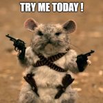 chinchilla warrior | TRY ME TODAY ! | image tagged in chinchilla warrior | made w/ Imgflip meme maker