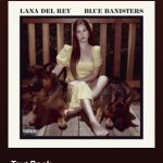 Another Day, Another Ms. Del Rey.