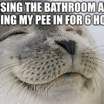 Satisfied Seal | ME USING THE BATHROOM AFTER HOLDING MY PEE IN FOR 6 HOURS. | image tagged in memes,satisfied seal | made w/ Imgflip meme maker