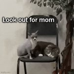 When they take your seat | Look out for mom; Telling younger sibling to get out of your spot | image tagged in gifs,mine,chair,seating,my spot,get out | made w/ Imgflip video-to-gif maker