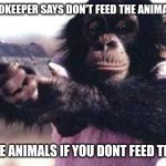 honestly | ZOOKEEPER SAYS DON'T FEED THE ANIMALS; THE ANIMALS IF YOU DONT FEED THEM: | image tagged in monkey crashout | made w/ Imgflip meme maker