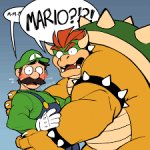 So Long Gay Bowser... meme