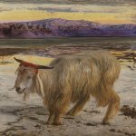 Scapegoat