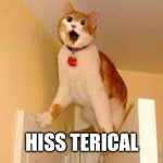 Hiss terical cats | HISS TERICAL | image tagged in hissterical | made w/ Imgflip meme maker