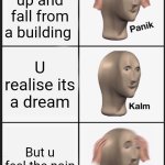 Im F***** | U wake up and fall from a building; U realise its a dream; But u feel the pain | image tagged in memes,panik kalm panik | made w/ Imgflip meme maker