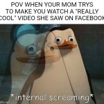 Private Internal Screaming | POV WHEN YOUR MOM TRYS TO MAKE YOU WATCH A "REALLY COOL" VIDEO SHE SAW ON FACEBOOK | image tagged in private internal screaming,memes,funny,facebook,moms,for real | made w/ Imgflip meme maker