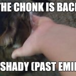 My cat h8s me | THE CHONK IS BACK; LIKE SHADY (PAST EMINEM) | image tagged in my cat h8s me | made w/ Imgflip meme maker