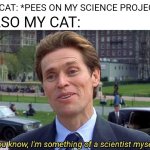 Nooo! What are you doing! | ALSO MY CAT:; MY CAT: *PEES ON MY SCIENCE PROJECT* | image tagged in you know i'm something of a scientist my self,memes,funny,science,science cat,cats | made w/ Imgflip meme maker