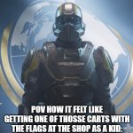 LONG LIVE THE KIDS FLAG CARTS LEGION! | POV HOW IT FELT LIKE GETTING ONE OF THOSSE CARTS WITH THE FLAGS AT THE SHOP AS A KID: | image tagged in helldiver | made w/ Imgflip meme maker