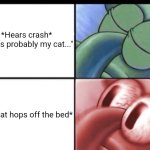 Squidward sleeping | *Hears crash*
"It was probably my cat..."; *My cat hops off the bed* | image tagged in squidward sleeping,memes,funny,cats,oh no | made w/ Imgflip meme maker