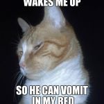 Troll/Scumbag Cat | WAKES ME UP SO HE CAN VOMIT IN MY BED | image tagged in troll/scumbag cat | made w/ Imgflip meme maker