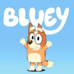 Bluey Theme Song (no that's BINGO not BLUEY) meme