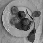 A Healthy Snack.
