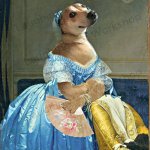 My dog