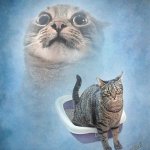 Neko Fight