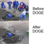 Doge before & after