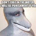 Dolphin Guy | DON’T EDGE IN THE WATER. THIS WILL BE PUNISHMENT IF YOU DO | image tagged in dolphin guy | made w/ Imgflip meme maker