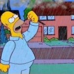 homer rain