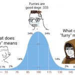 Real | Furries are good dogs :333; What does "furry" means; What does "furry" means | image tagged in bell curve | made w/ Imgflip meme maker