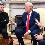 Trump and Z