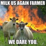 . | MILK US AGAIN FARMER; WE DARE YOU. | image tagged in random bullshit go,memes,funny,dank memes,wisdom | made w/ Imgflip meme maker