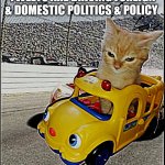 Cat in a toy sports car | ME THINKING MY PITHY TWEETS ARE DRIVING FOREIGN & DOMESTIC POLITICS & POLICY | image tagged in cat in a toy sports car | made w/ Imgflip meme maker