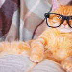 Writing tips